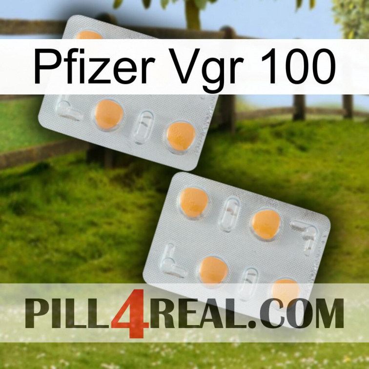 Pfizer Vgr 100 25